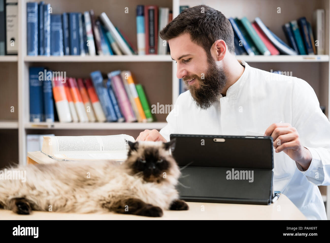 Medico Veterinario con cat per la ricerca di informazioni mediche Foto Stock