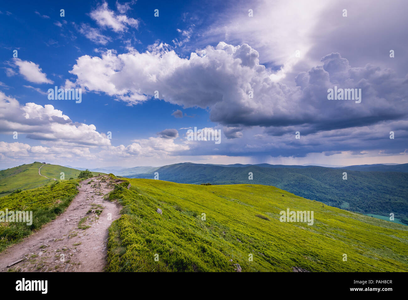 Percorso di Winnie the Pooh capanna rifugio su una roccia Hasiakowa montagna, parte dei prati Wetlina in Western monti Bieszczady in Polonia Foto Stock