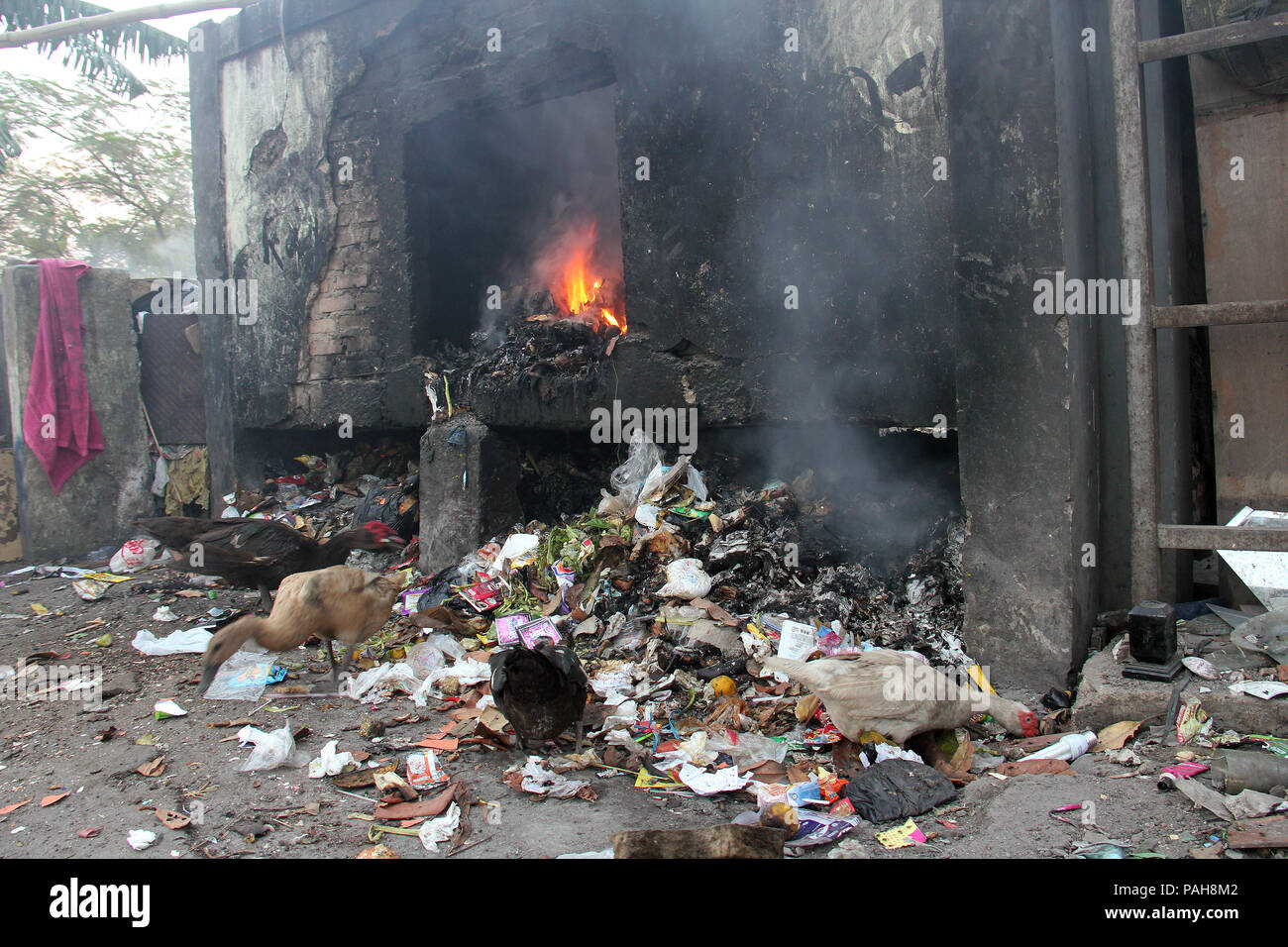 Rifiuti di plastica mangiato anatra e pollo vicino incenerator. Plastica crisi dell'inquinamento. Foto Stock