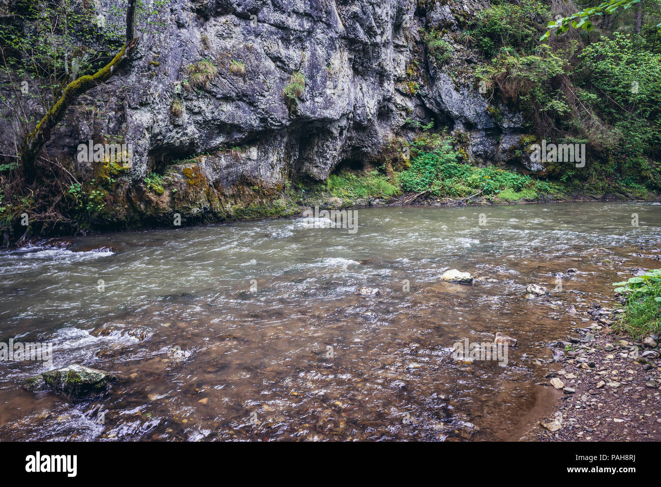 Fiume Hornad in Paradiso Slovacco National Park, parte nord della slovacca Monti Metalliferi in Slovacchia Foto Stock