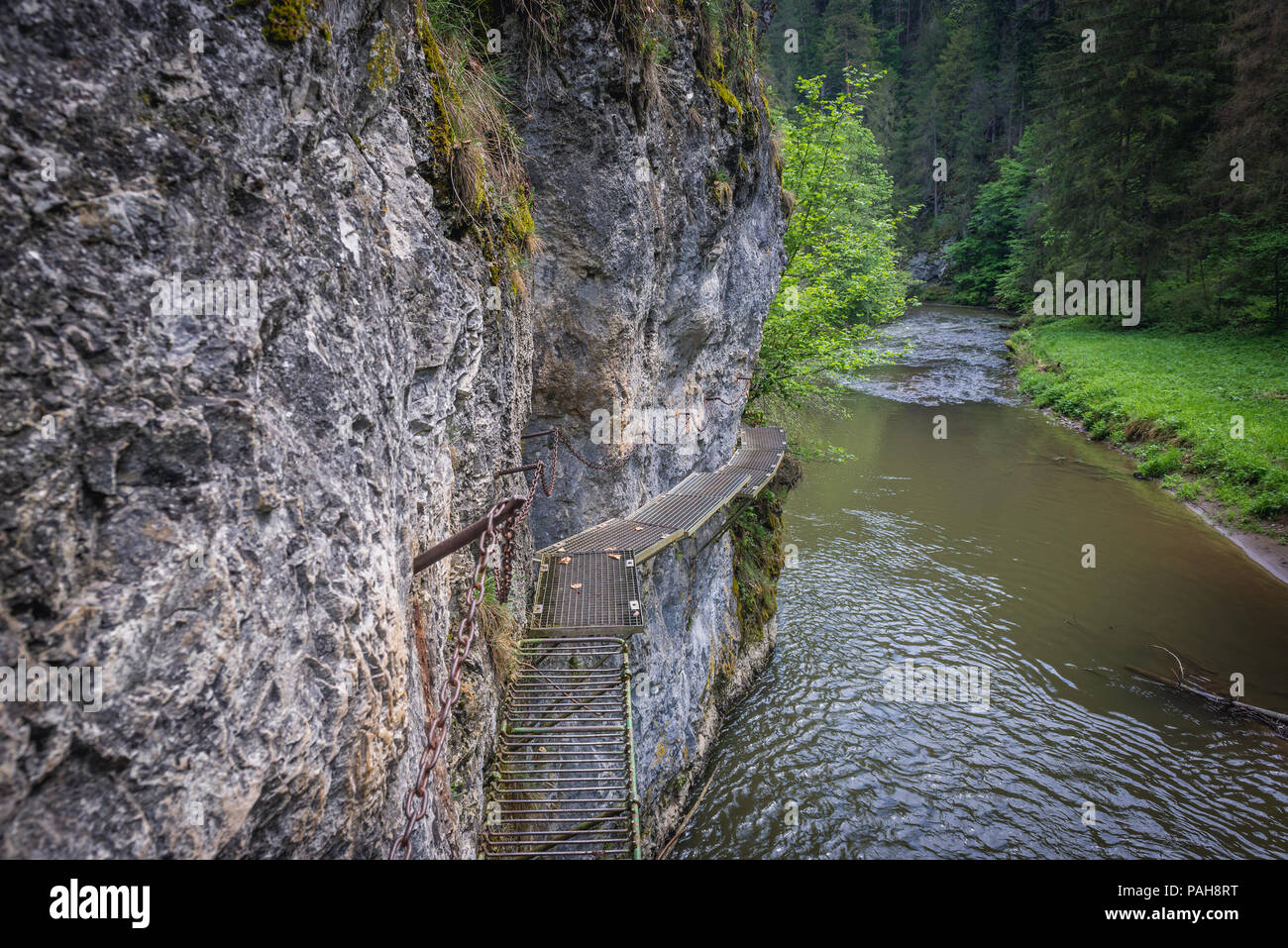 Fasi di ferro e le catene sul sentiero escursionistico chiamato Prielom Hornadu, lungo il canyon del fiume Hornad in Paradiso Slovacco National Park, Slovacchia Foto Stock