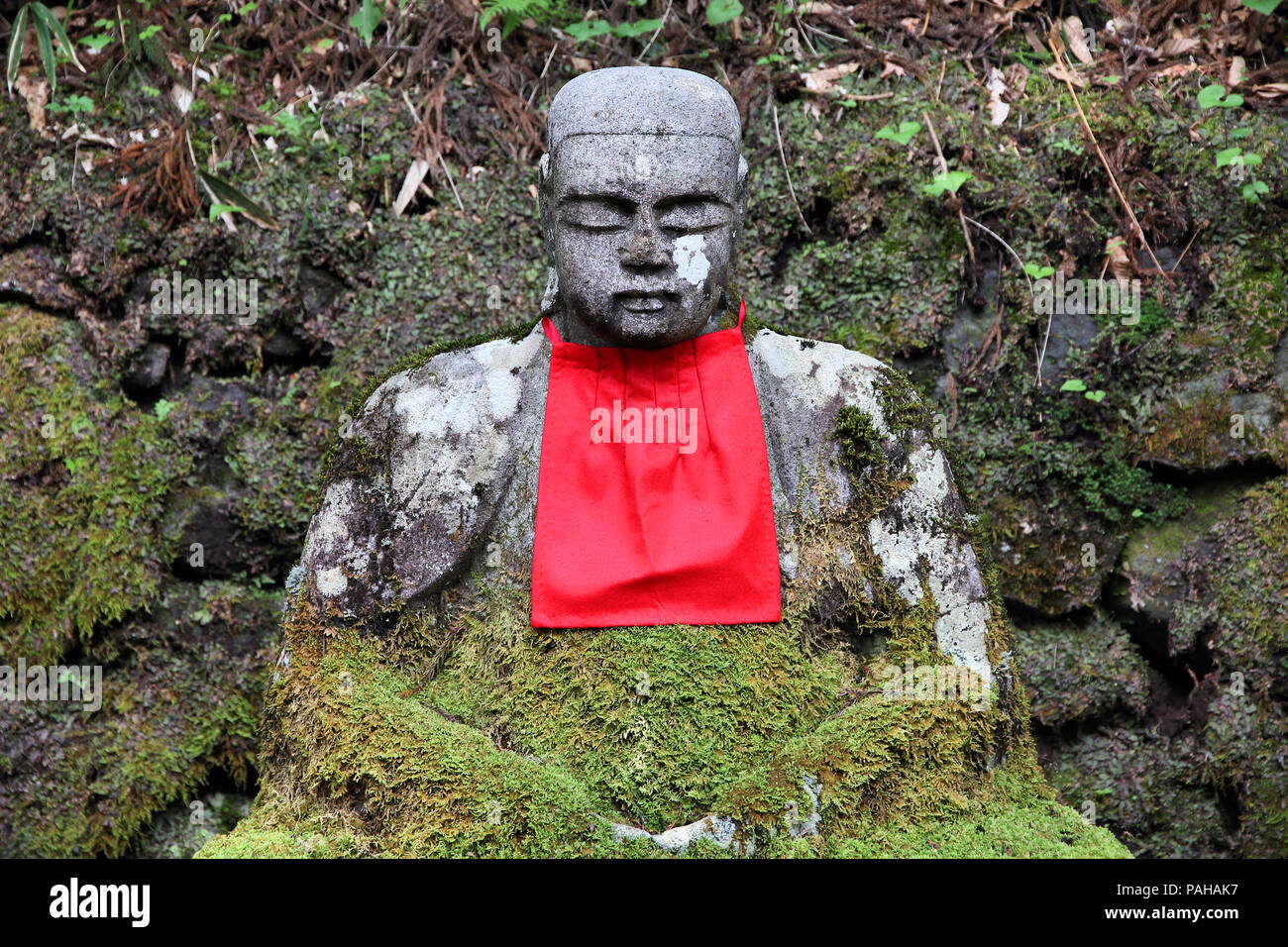 Nikko, Giappone - jizo statua al famoso Kanmangafuchi. Jizo, noto anche come Ksitigarbha bodhisattvas sono in East Asian Buddismo. Foto Stock