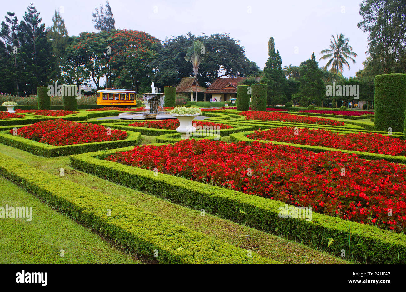 Taman Bunga Nusantara Parco Floreale Cipanas West Java