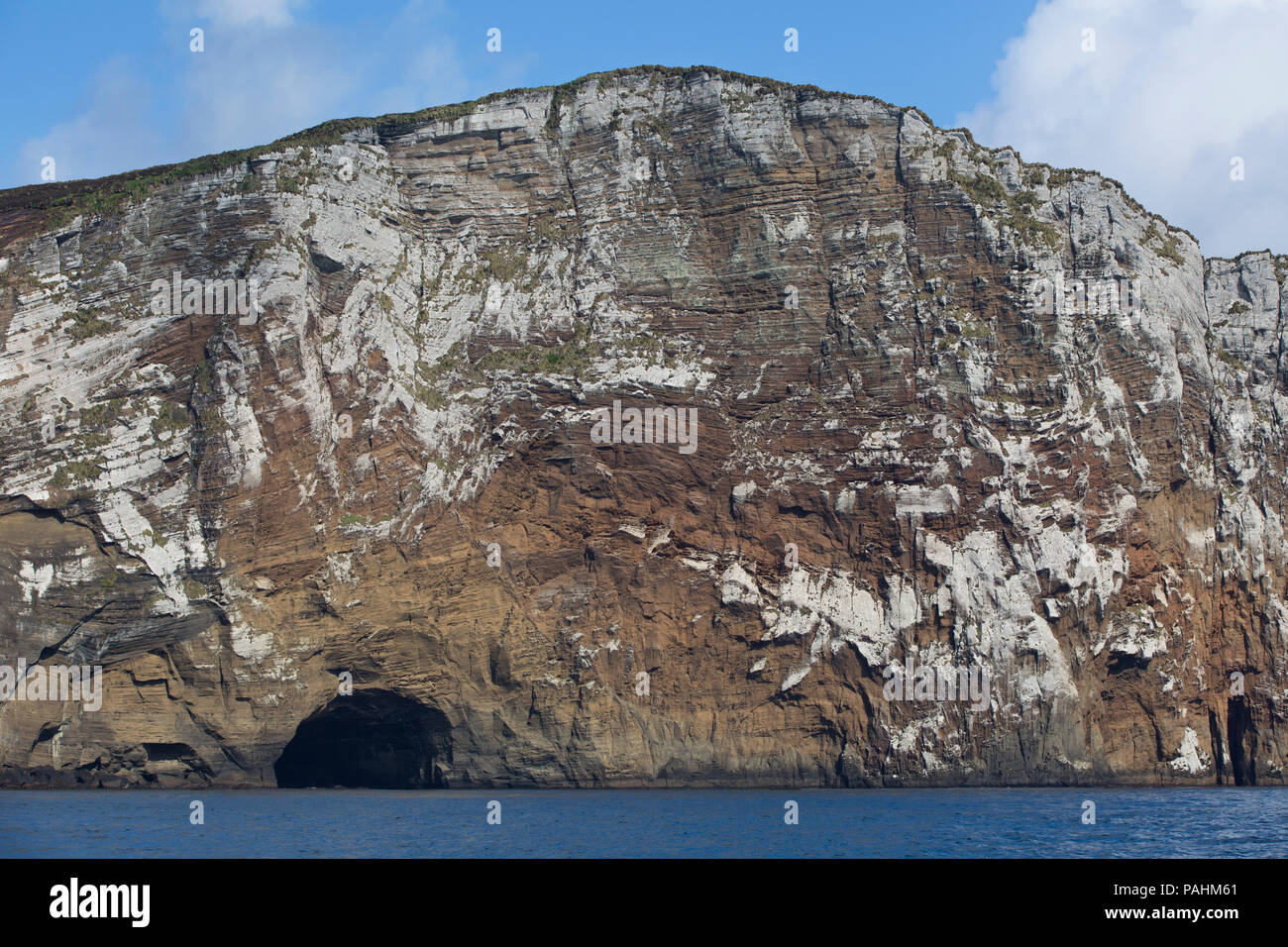 Agli antipodi isole del litorale, Nuova Zelanda Foto Stock