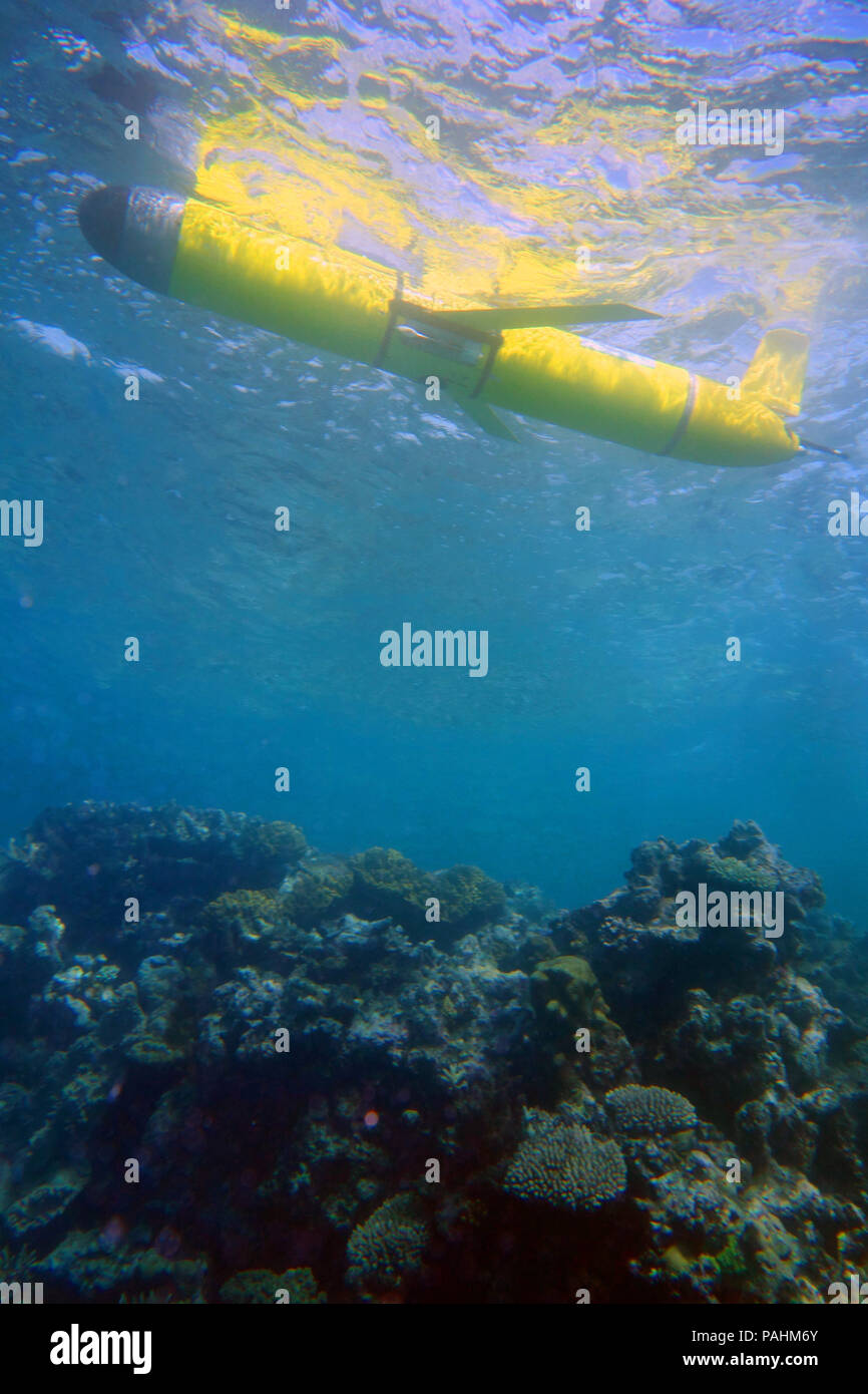 Oceano Slocum glider (autonomo sottomarino strumento oceanografiche) flottanti sulla barriera corallina, della Grande Barriera Corallina, Queensland, Australia. N. PR Foto Stock