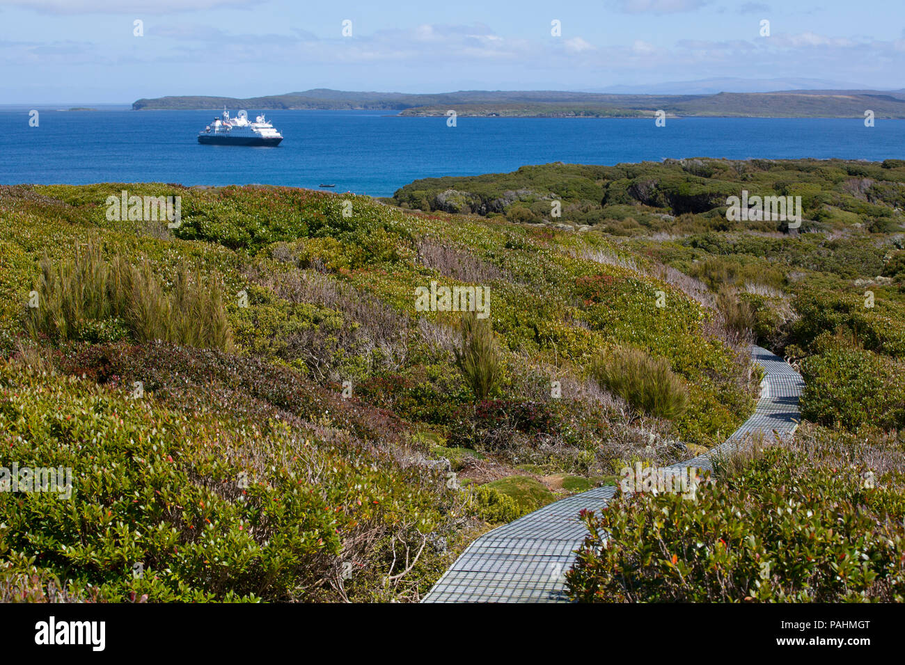 Il Boardwalk su Enderby Island, Nuova Zelanda Foto Stock