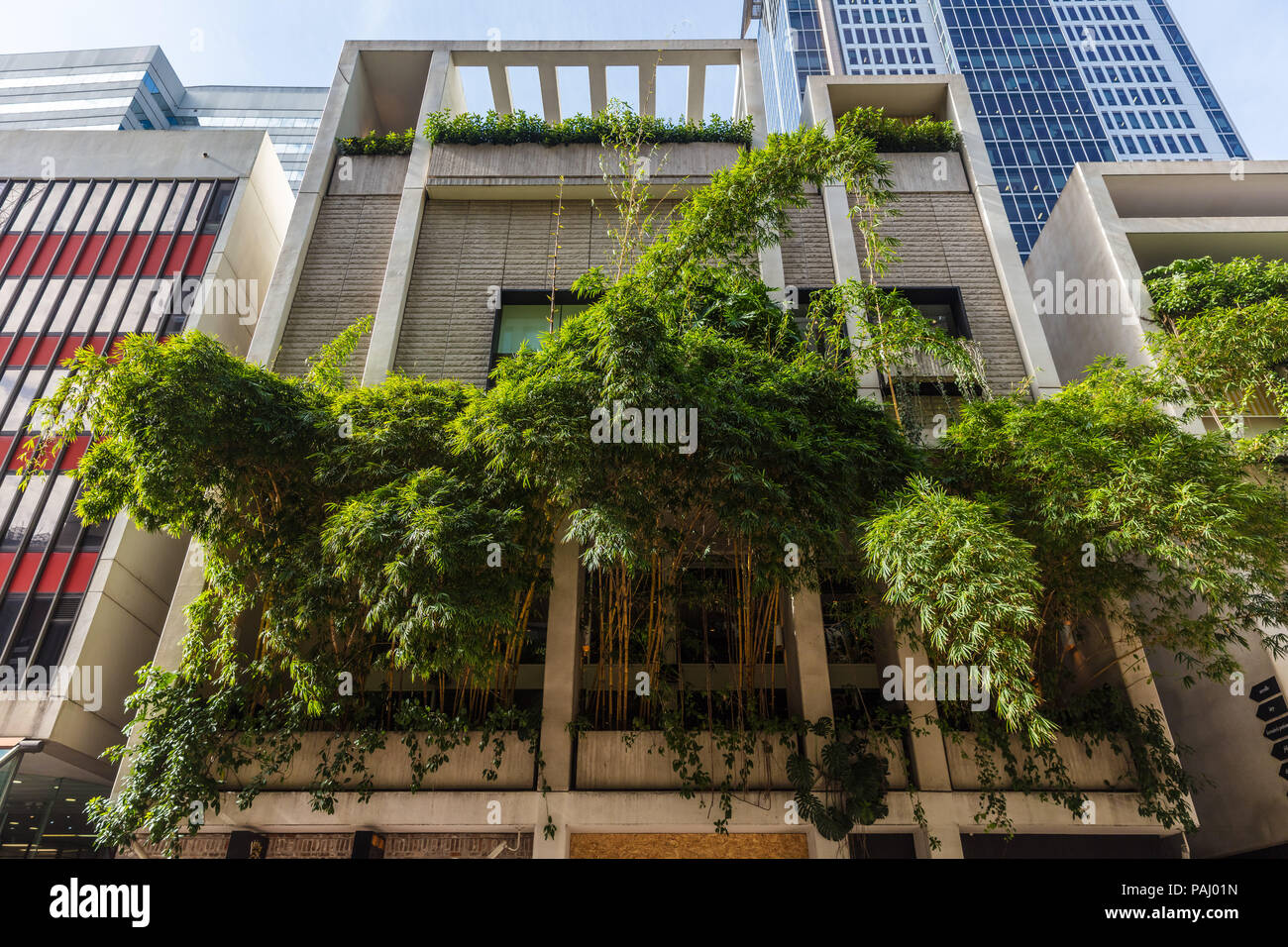 Gli edifici verdi a Sydney in Australia - l'Ivy su George Street Foto Stock