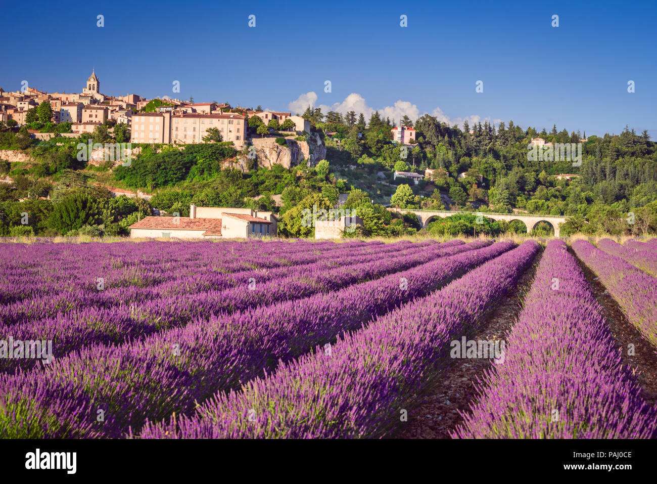 Sault, hilltop village in Provenza con campi di lavanda, Vaucluse in Francia. Foto Stock