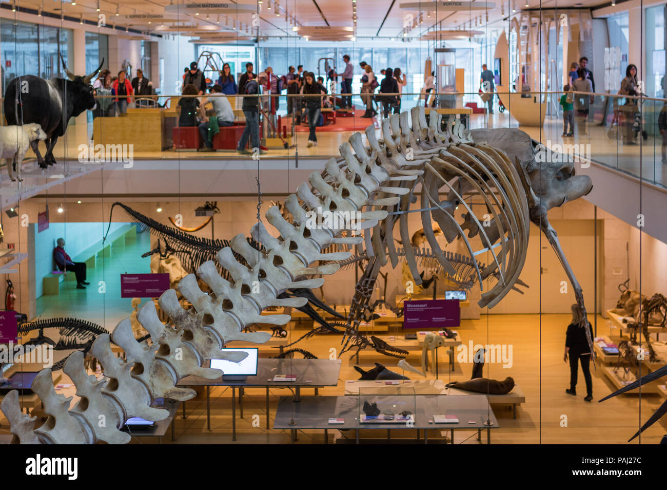 Muse - Museo della Scienza - Trento nel nord Italia - spazi interni del famoso museo interattivo delle scienze naturali di Trento ha progettato Renzo piano Foto Stock