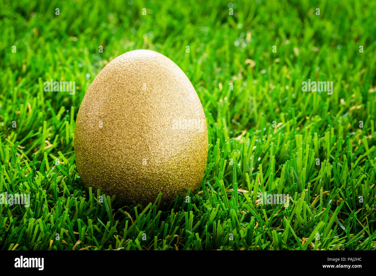 Una golden uovo di pasqua nascosto nel verde erba Foto Stock
