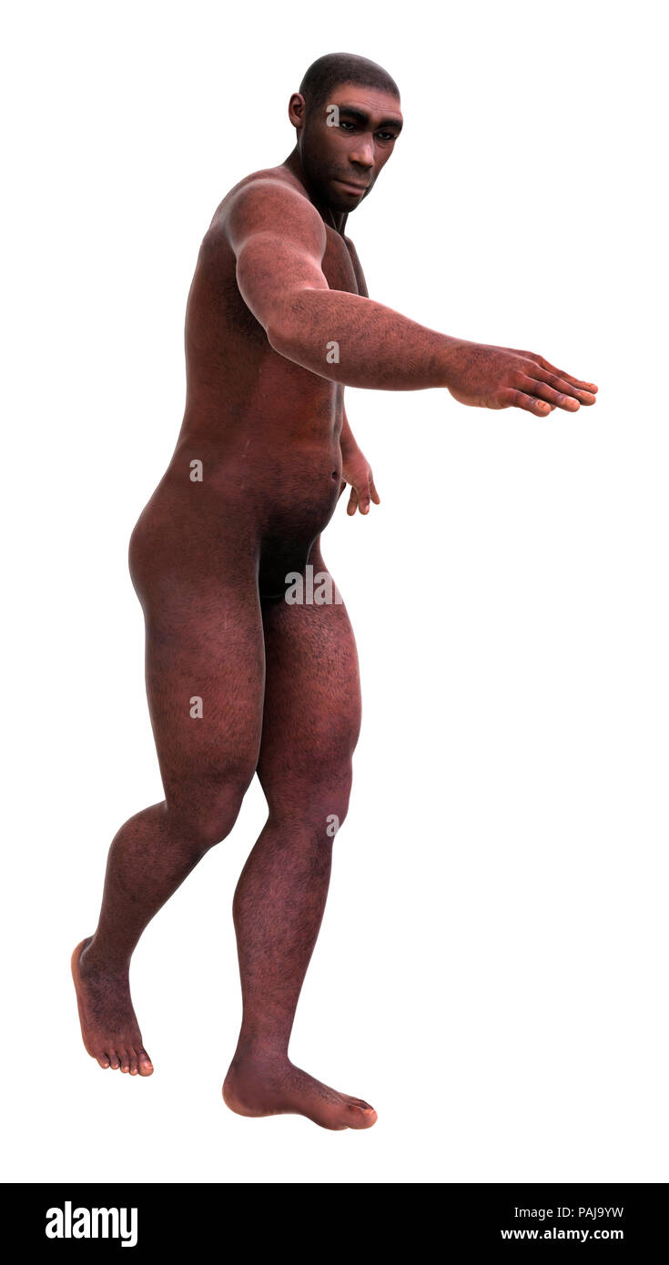 3D rendering di un maschio di Homo Erectus isolati su sfondo bianco Foto Stock