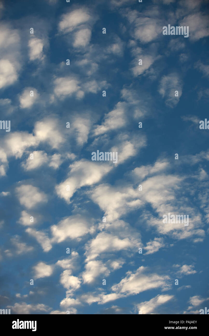 Fiera del bianco-weather Nuvole su un cielo blu Foto Stock