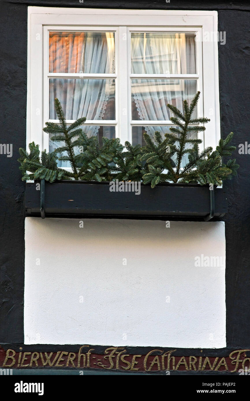 HAMELN, Germania - MARZO 07, 2009: dettagli di una casa nel centro di Hameln, in Germania Foto Stock