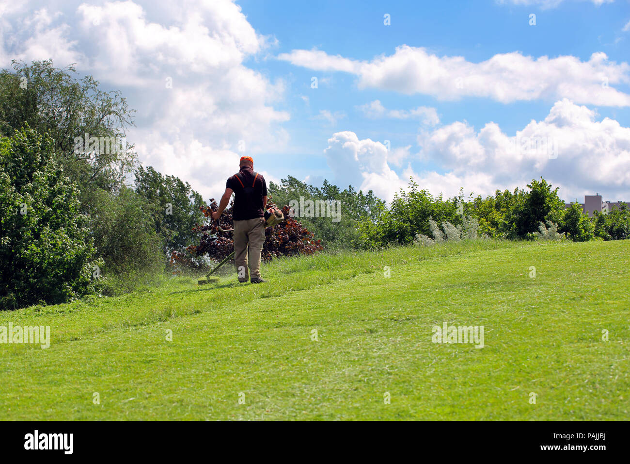 L'uomo falciare l'erba sulla collina Foto Stock