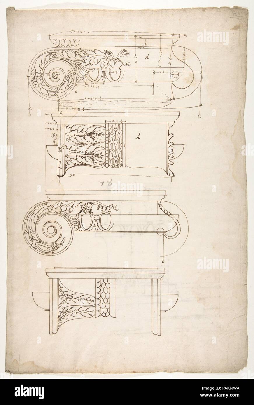 Unidentified, capitelli ionici, due elevazioni Frontale e Laterale (recto) impost dorico, elevazione della trabeazione (verso). Dimensioni: foglio: 17 5/16 x 11 7/16 in. (44 x 29 cm). Relatore per parere: disegnato da anonimo, francese, del XVI secolo. Serie/Portfolio: Goldschmidt Scrapbook. Data: inizio alla metà del XVI secolo. Museo: Metropolitan Museum of Art di New York, Stati Uniti d'America. Foto Stock