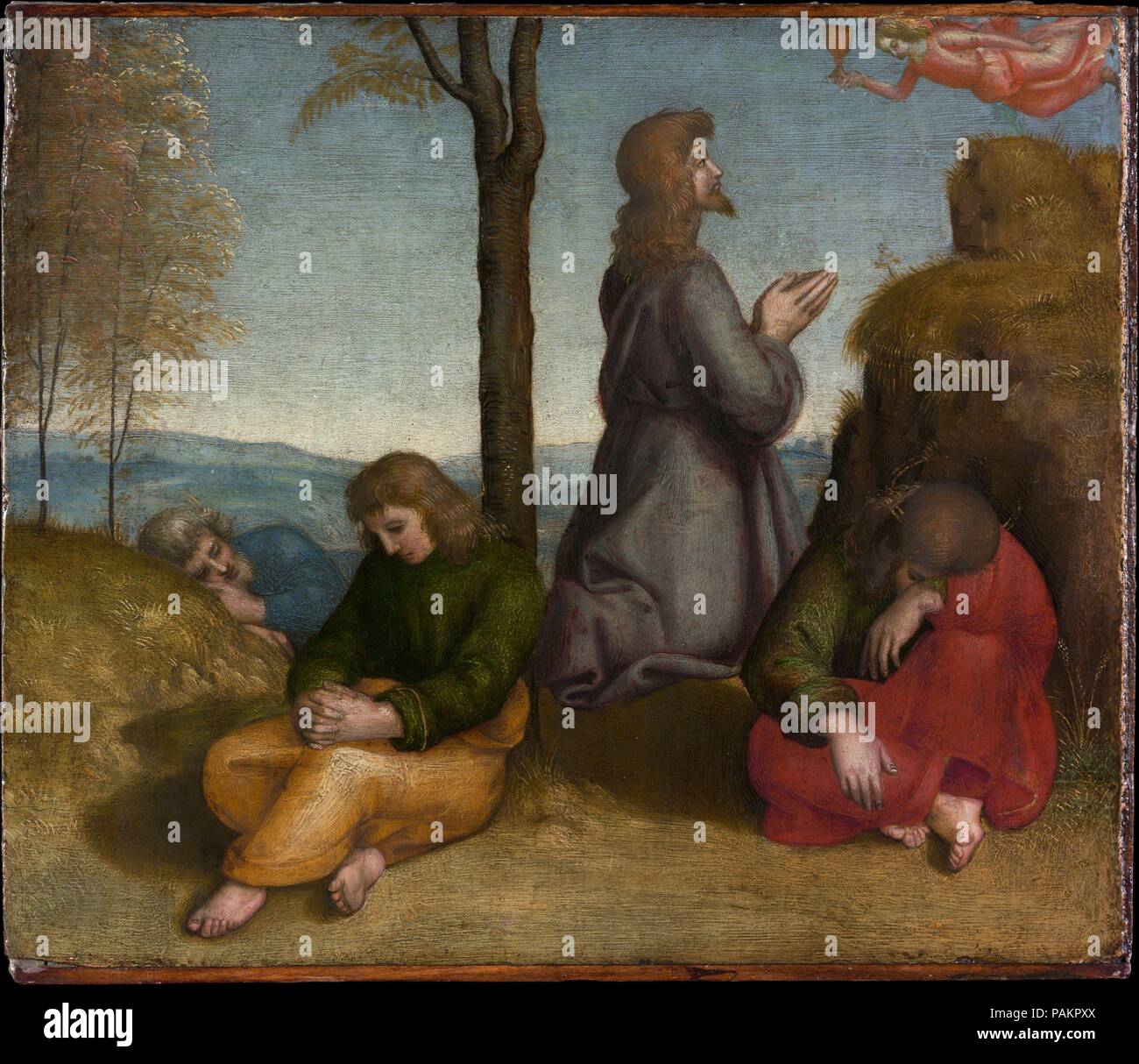 L'agonia nel giardino. Artista: Raphael (Raffaello Sanzio o Santi) (italiano, Urbino Roma 1483-1520). Dimensioni: 9 1/2 × 11 3/8 in. (24,1 × 28,9 cm). Questo pannello è stato originariamente parte della base (scomparto di predella) del <i>Madonna in trono col Bambino tra i Santi</i>, che viene anche visualizzata in questa galleria. Esso mostra Cristo pregando nel giardino prima del suo arresto con i suoi discepoli addormentati intorno a lui. Vi erano due pannelli di accompagnamento: <i>processione al Calvario</i> e <i>Compianto sul Cristo morto</i>. Il piccolo angelo tenendo il calice è stato un ripensamento, in sostituzione di una precedente idea Foto Stock