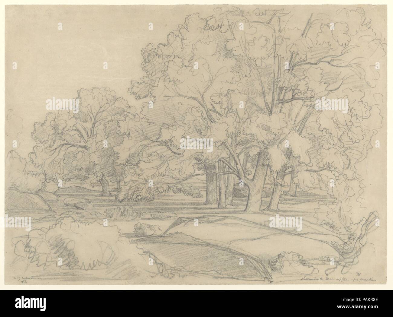 Plateau de la Mare aux Fées. Foresta di Fontainebleau. Artista: Claude-Félix-Théodore (chiamato Caruelle) d'Aligny (francese, Chaumes, Nièvre 1798-1871 Lione). Dimensioni: 13 11/16 x 18 5/8 in. (34,7 x 47.3cm). Data: 1854. Museo: Metropolitan Museum of Art di New York, Stati Uniti d'America. Foto Stock