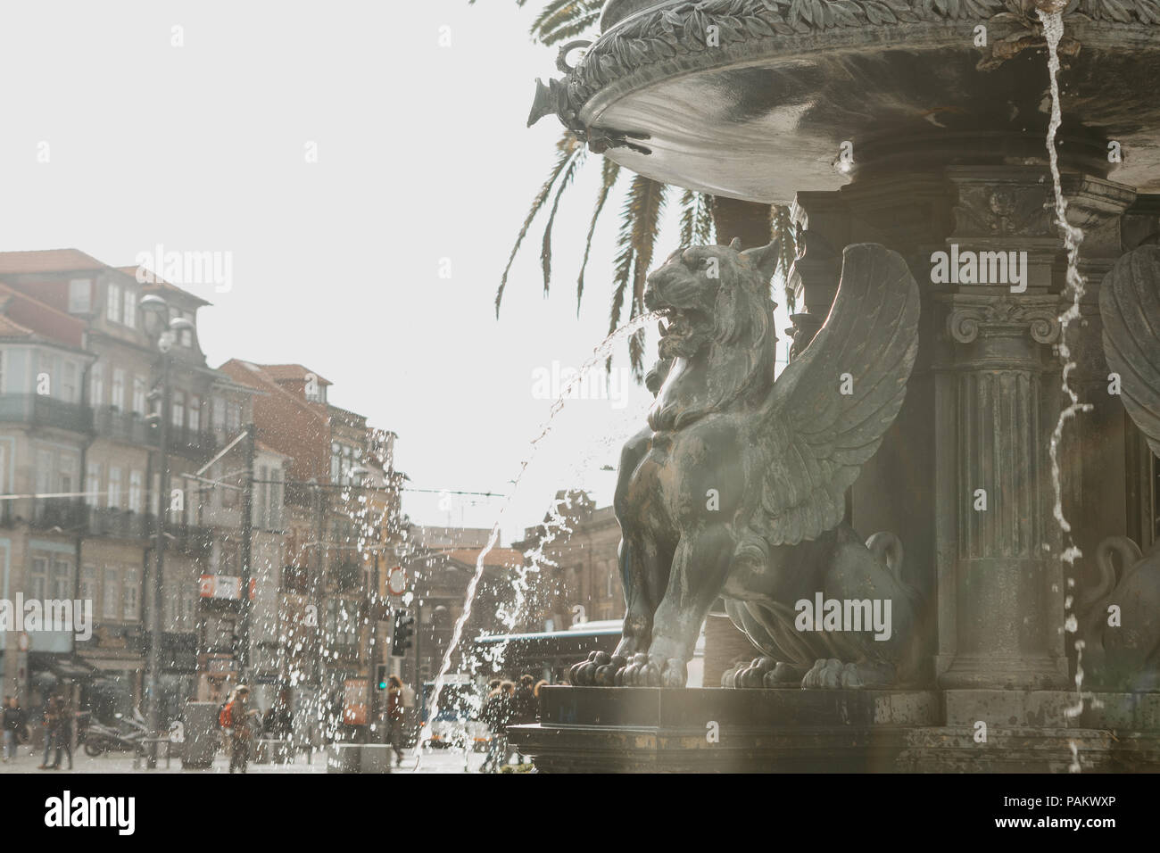 Antica leone alato fontana nella piazza della città di Porto, Portogallo. Foto Stock