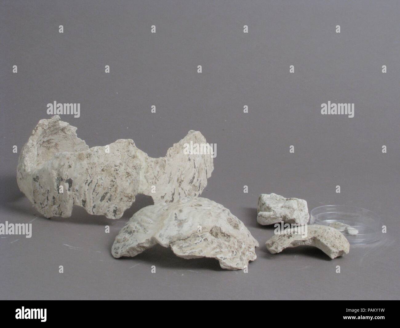 I frammenti di una testa maschio. Cultura: copto. Dimensioni: in generale (a): 2 3/4 x 6 1/2 x 4 3/4 in. (7 x 16,5 x 12 cm) in generale (b): 3 3/4 x 4 1/4 x 1/16 in. (9,6 x 10,8 x 0,1 cm) complessiva (c): 2 1/2 x 1 13/16 x 7/8 in. (6,4 x 4,6 x 2,2 cm) in generale (d): 2 1/2 x 1 13/16 x 13/16 in. (6,3 x 4,6 x 2 cm). Data: 4-VII secolo. Museo: Metropolitan Museum of Art di New York, Stati Uniti d'America. Foto Stock