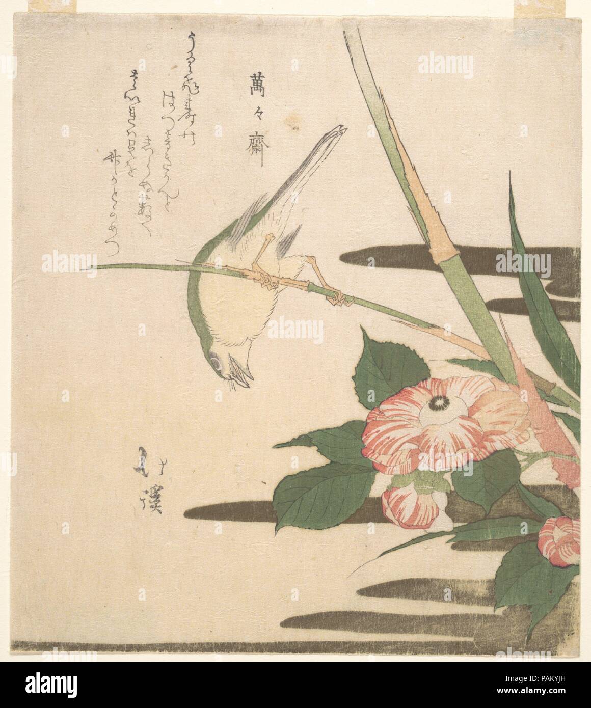 Trillo e camelia. Artista: Totoya Hokkei (giapponese, 1780-1850). Cultura: il Giappone. Dimensioni: 8 1/8 x 7 1/4 in. (20,6 x 18,4 cm). Data: ca. 1815-20. Bird-e-fiore, o 'kacho", i soggetti sono stati prevalenti nella pittura giapponese e altre arti per centinaia di anni, sebbene surimono furono i primi a singolo foglio woodblock stampe per incorporare pienamente questo motivo tradizionale. In questa stampa da Hokkei, l'oro stilizzato design cloud è prelevata dalla pittura classica stili. La pesantezza del lato destro di questa composizione è deliziosamente bilanciata dalla precariamente appollaiato trillo. Museo: Metropolitan Foto Stock