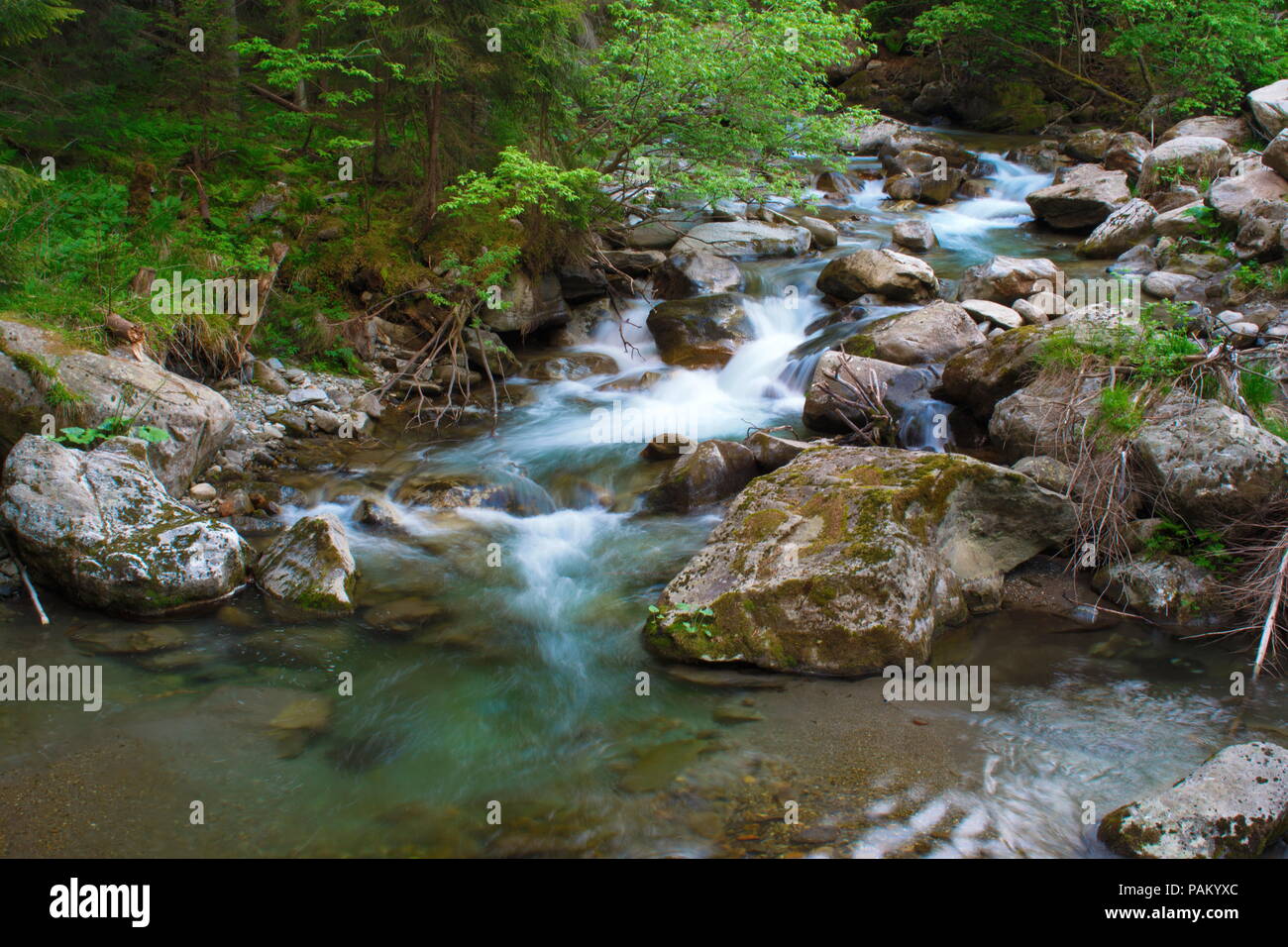 Splendido fiume sul paesaggio di montagna Foto Stock