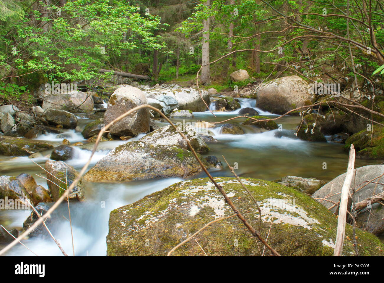 Splendido fiume sul paesaggio di montagna Foto Stock