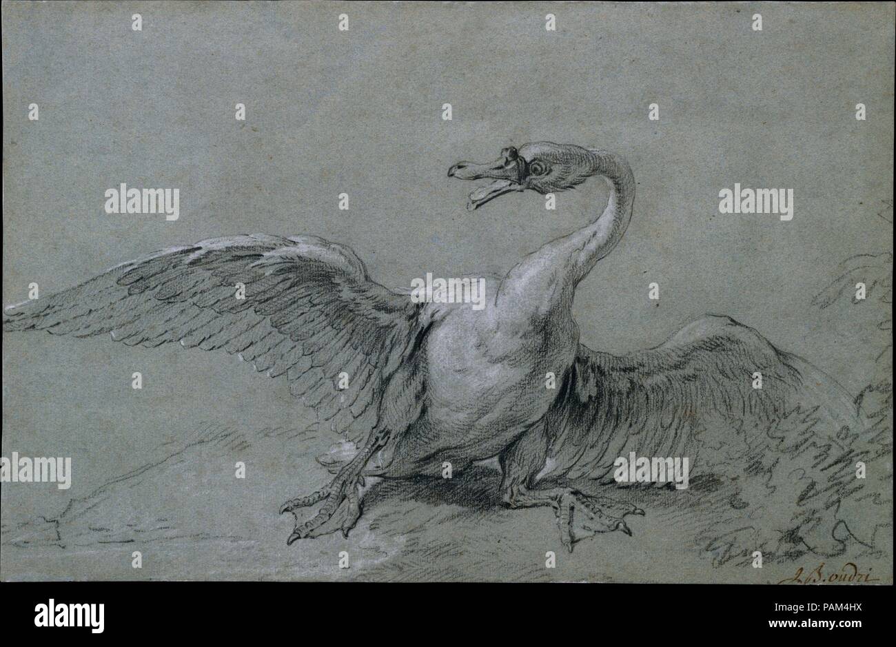 Arrabbiato Swan. Artista: Jean-Baptiste Oudry (francese, Parigi Beauvais 1686-1755). Dimensioni: 9 3/4 x 14 15/16 in. (24,8 x 38 cm.). Data: XVIII secolo. Museo: Metropolitan Museum of Art di New York, Stati Uniti d'America. Foto Stock