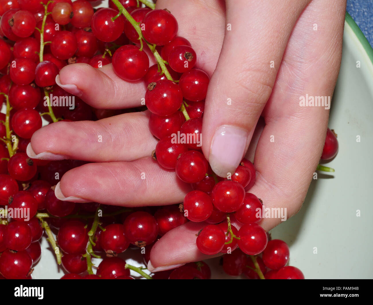 Correnti di rosso tenuto in mano Foto Stock