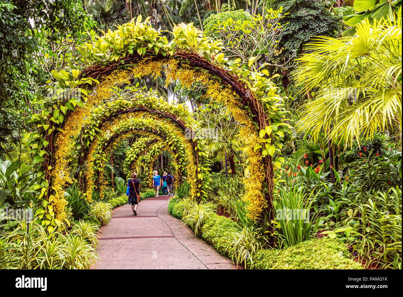 Singapore Jan 11, 2018: turisti camminando sul percorso pedonale disposti dalla piccola orchidea gialla fiori posti su supporti ad arco in Singapore Botanic Ga Foto Stock