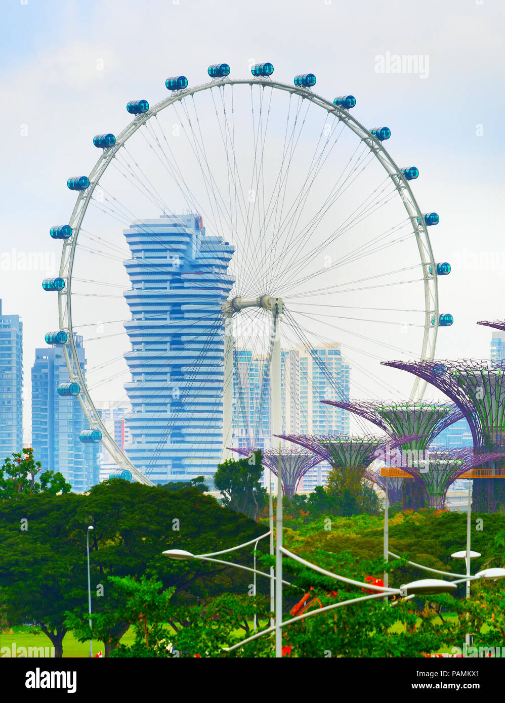 SINGAPORE - Feb 16, 2017: Vista di alberi in giardino dalla baia e il Singapore Flyer Foto Stock