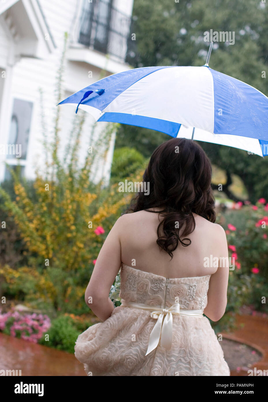 Sposa dal retro con ombrellone Foto Stock