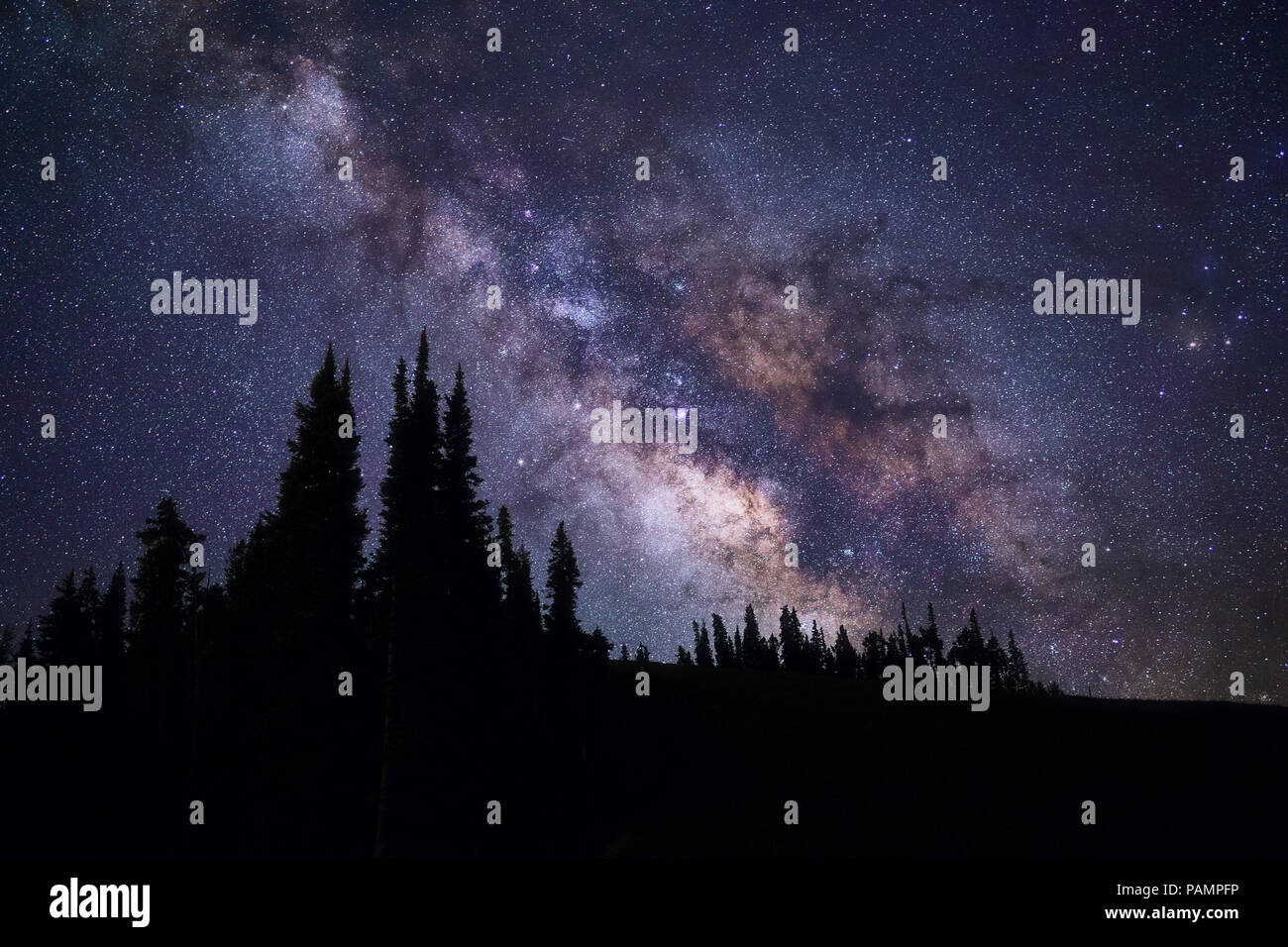 La Via Lattea che sorge su pini nelle montagne di San Juan a Telluride, Colorado Foto Stock