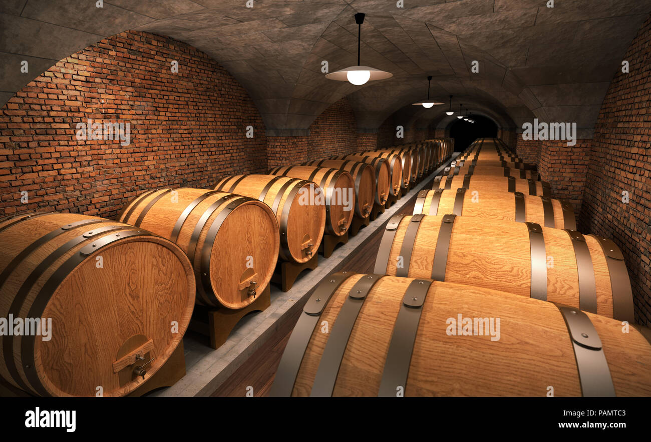 Cantina con le botti di legno Foto Stock