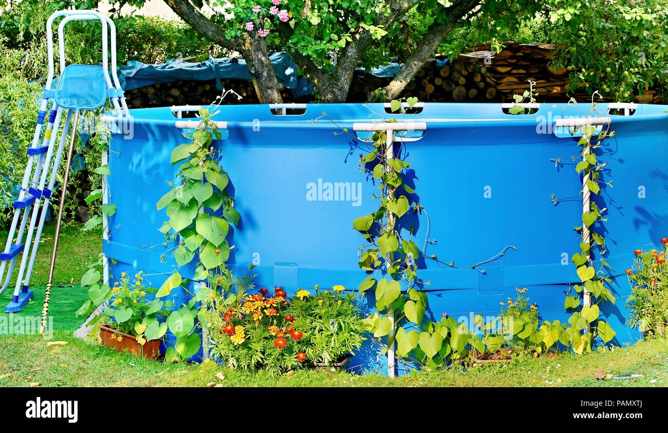 Blu piscina ricoperta con foglie verdi e altri fiori nel giardino. Foto Stock