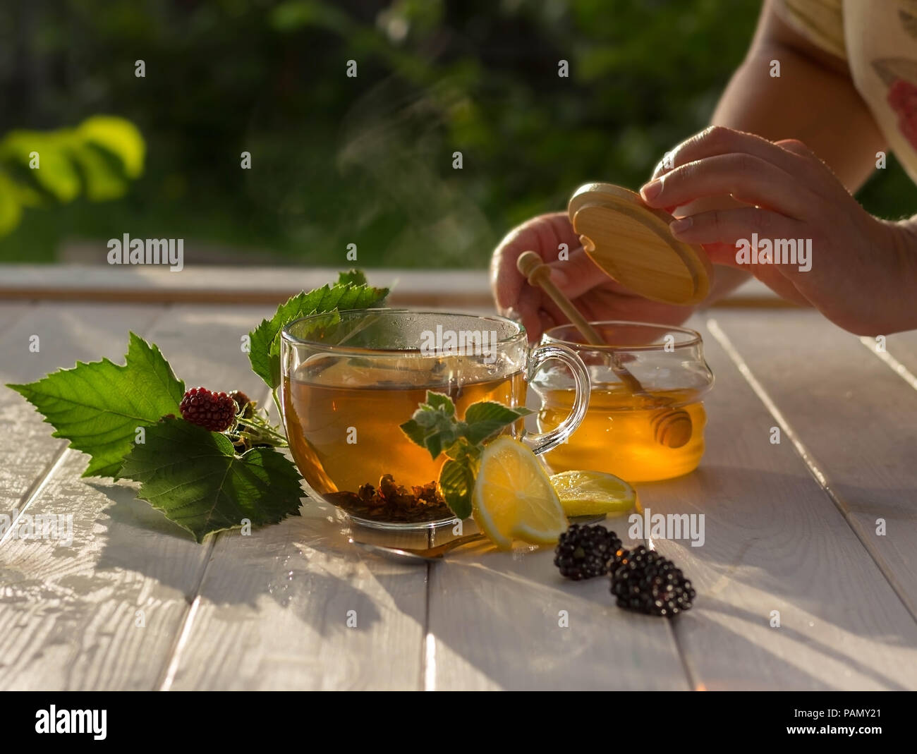 Vita lenta. Concetto di colazione sana. Tisana aromatica, frutti di bosco e miele su un tavolo di legno bianco in giardino Foto Stock