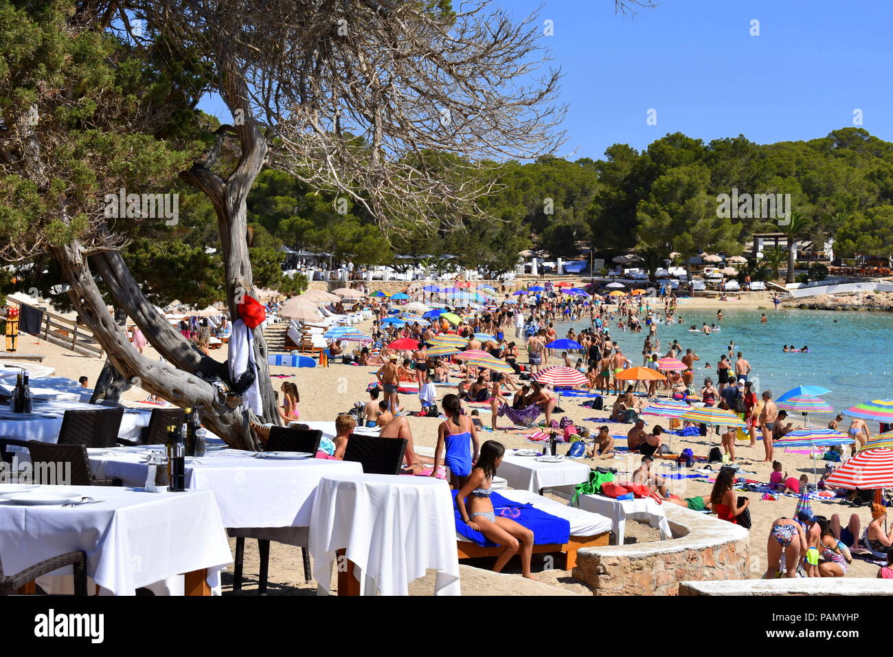 Cala Bassa Beach Ibiza Spagna Foto Stock Alamy
