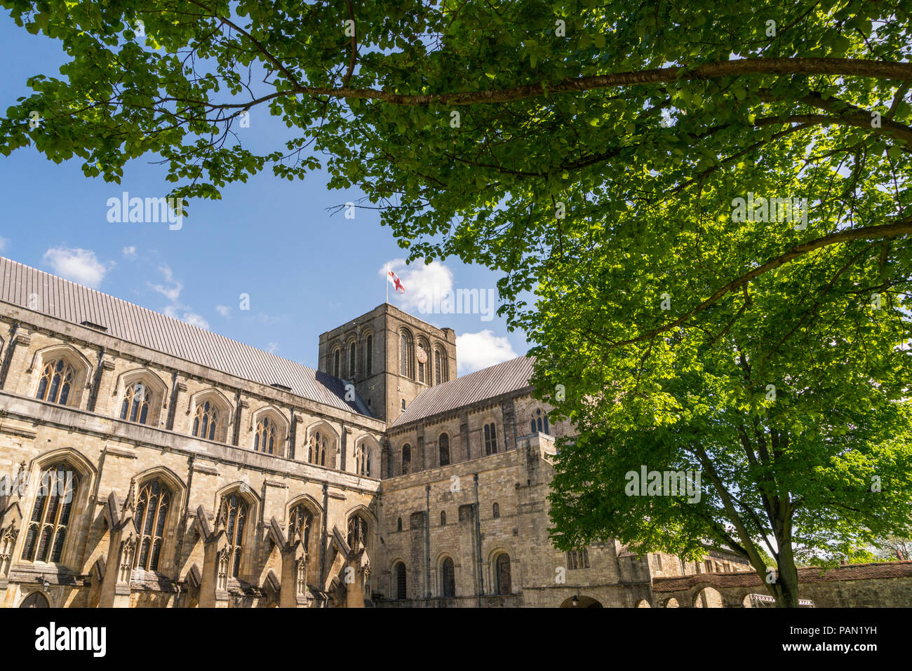 La Cattedrale di Winchester dal di dentro i giardini cercando attraverso un albero canopy presso il St Georges Cross bandiera di Inghilterra Foto Stock
