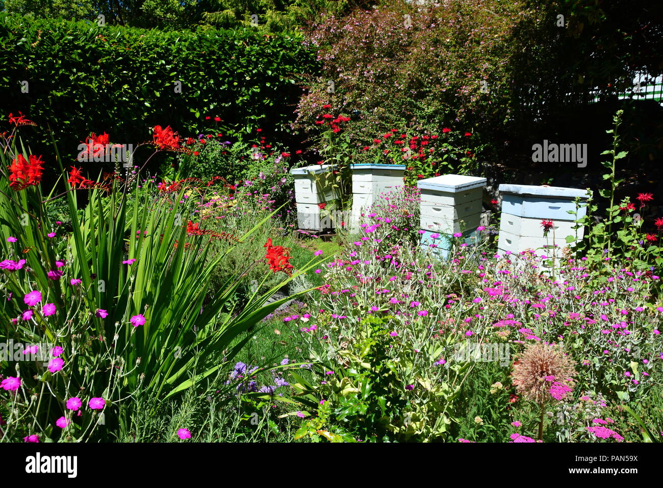 Alveari di api nel giardino all'hotel Empress a Victoria BC, Canada Foto Stock