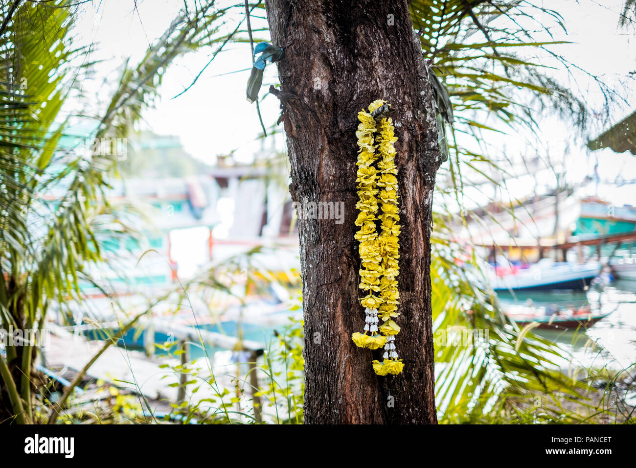 Thailandia Koh Phangan, fiore giallo ghirlanda appesa al tronco di albero Foto Stock