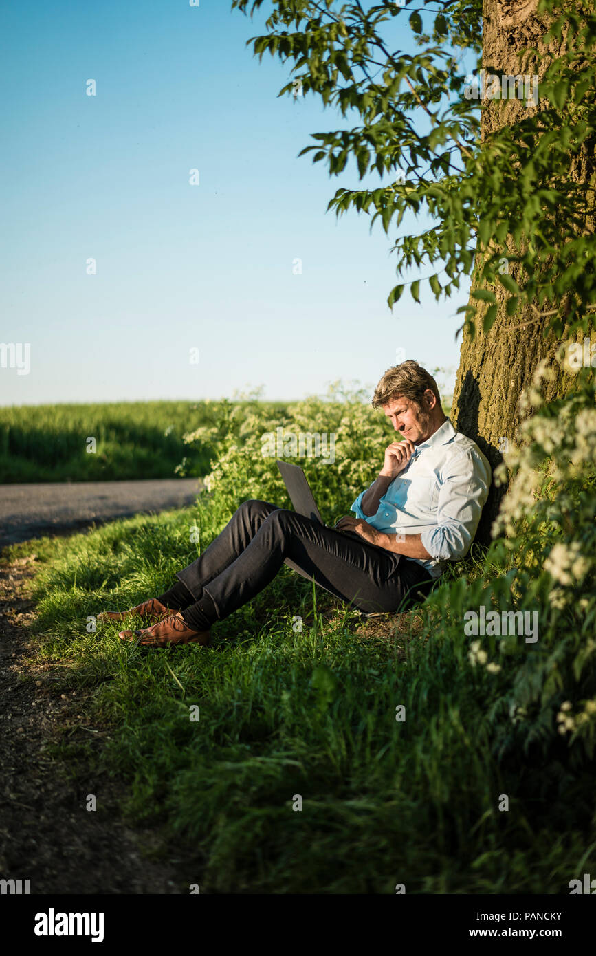 Imprenditore appoggiata contro un albero utilizzando laptop Foto Stock