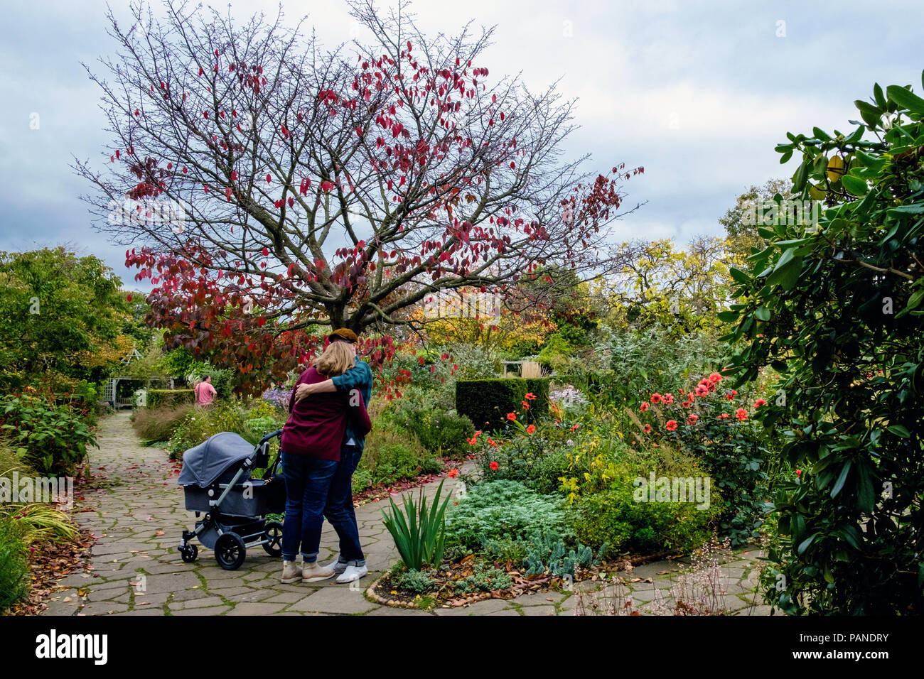 Coppia giovane abbraccio e bacio accanto a un bambino buggy in giardino murato, durante l'autunno in Brockwell Park, Herne Hill, Londra Sud, Regno Unito Foto Stock