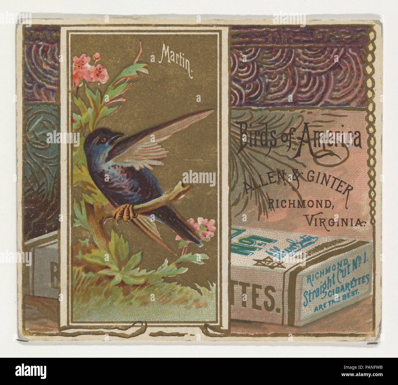 Martin da uccelli d'America serie (N37) per Allen & Ginter sigarette. Dimensioni: foglio: 2 7/8 x 3 1/4 in. (7,3 x 8,3 cm). Editore: Rilasciato da Allen & Ginter (American, Richmond, Virginia). Data: 1888. Scambio di carte dal 'Uccelli d'America' serie (N37), rilasciato nel 1888 in un set di 50 schede per promuovere Allen & Ginter marca di sigarette. La serie N37 riproduce le carte dalla N4 in una dimensione più grande. Museo: Metropolitan Museum of Art di New York, Stati Uniti d'America. Foto Stock