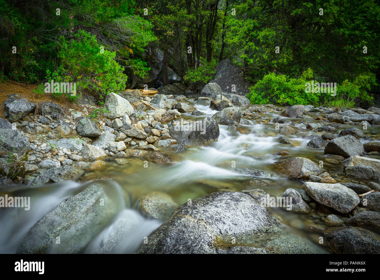 Babbling morbido con acqua corrente e il paesaggio roccioso - base di Tamarack Creek, il Parco Nazionale di Yosemite Foto Stock