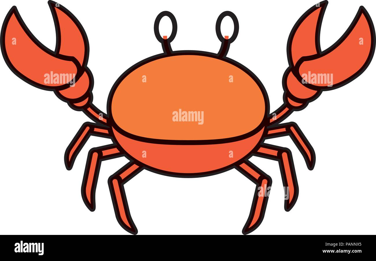 Colore granchio cute animale tropicale di mare Illustrazione Vettoriale