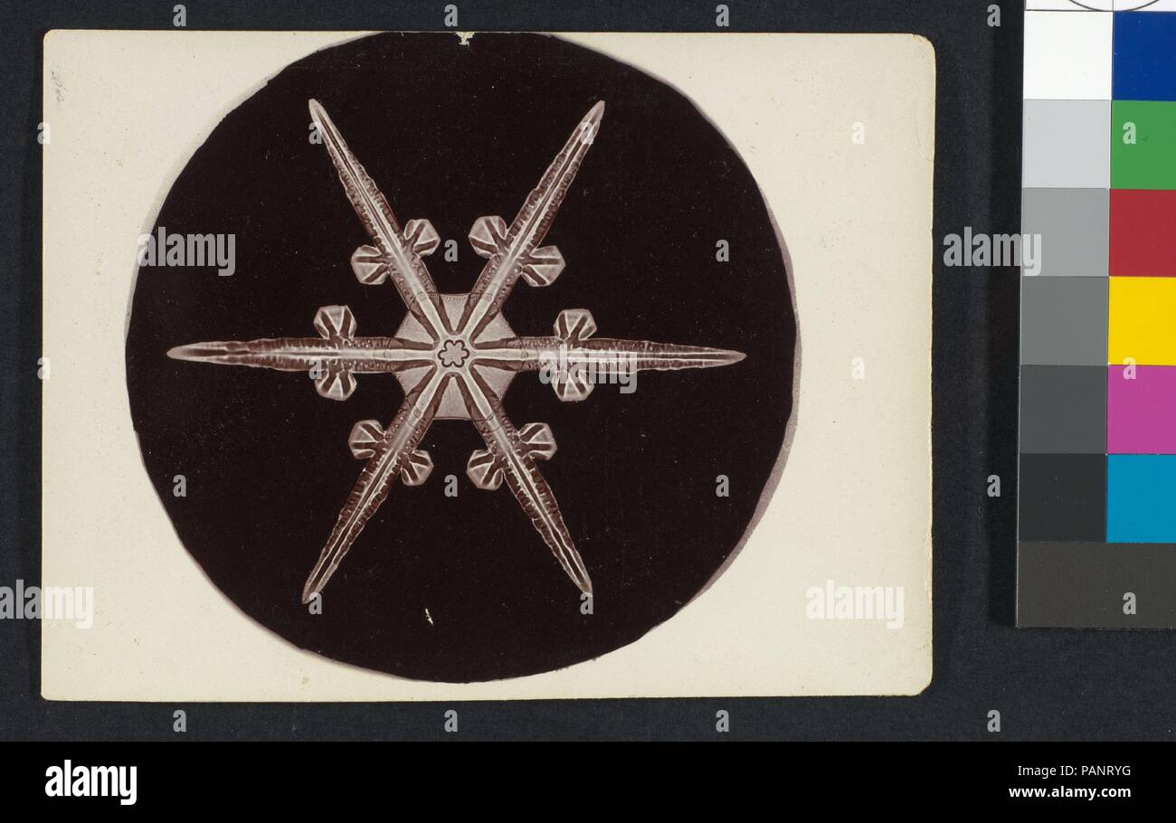 [Cristallo di neve]. Artista: Wilson Alwyn Bentley (American, 1865-1931). Dimensioni: Immagine: 2 15/16 in. × 3 a. (7,4 × 7,6 cm) foglio: 3 × 4 a. (7,6 x 10,1 cm). Data: 1890s-1920s. Museo: Metropolitan Museum of Art di New York, Stati Uniti d'America. Foto Stock