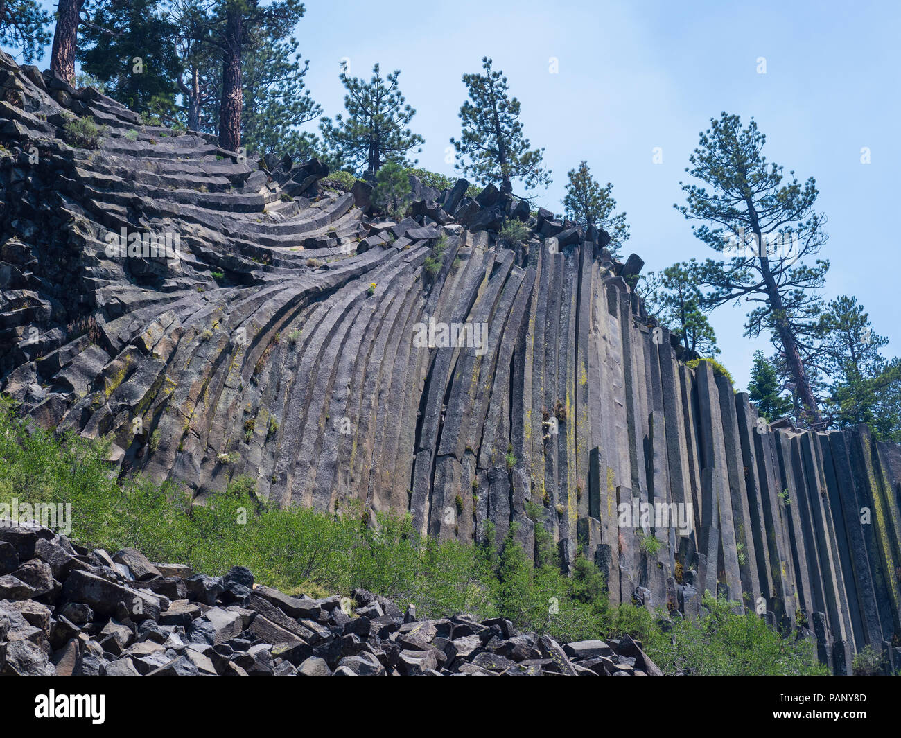 Colonne di basalto, Devil's Postpile Monumento Nazionale nei pressi di Mammoth Lakes, California. Foto Stock