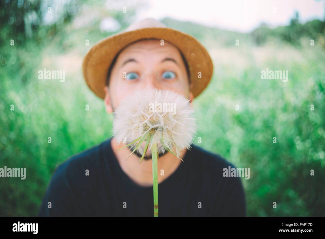 Uomo nella natura con protagonista a blowball, close-up Foto Stock