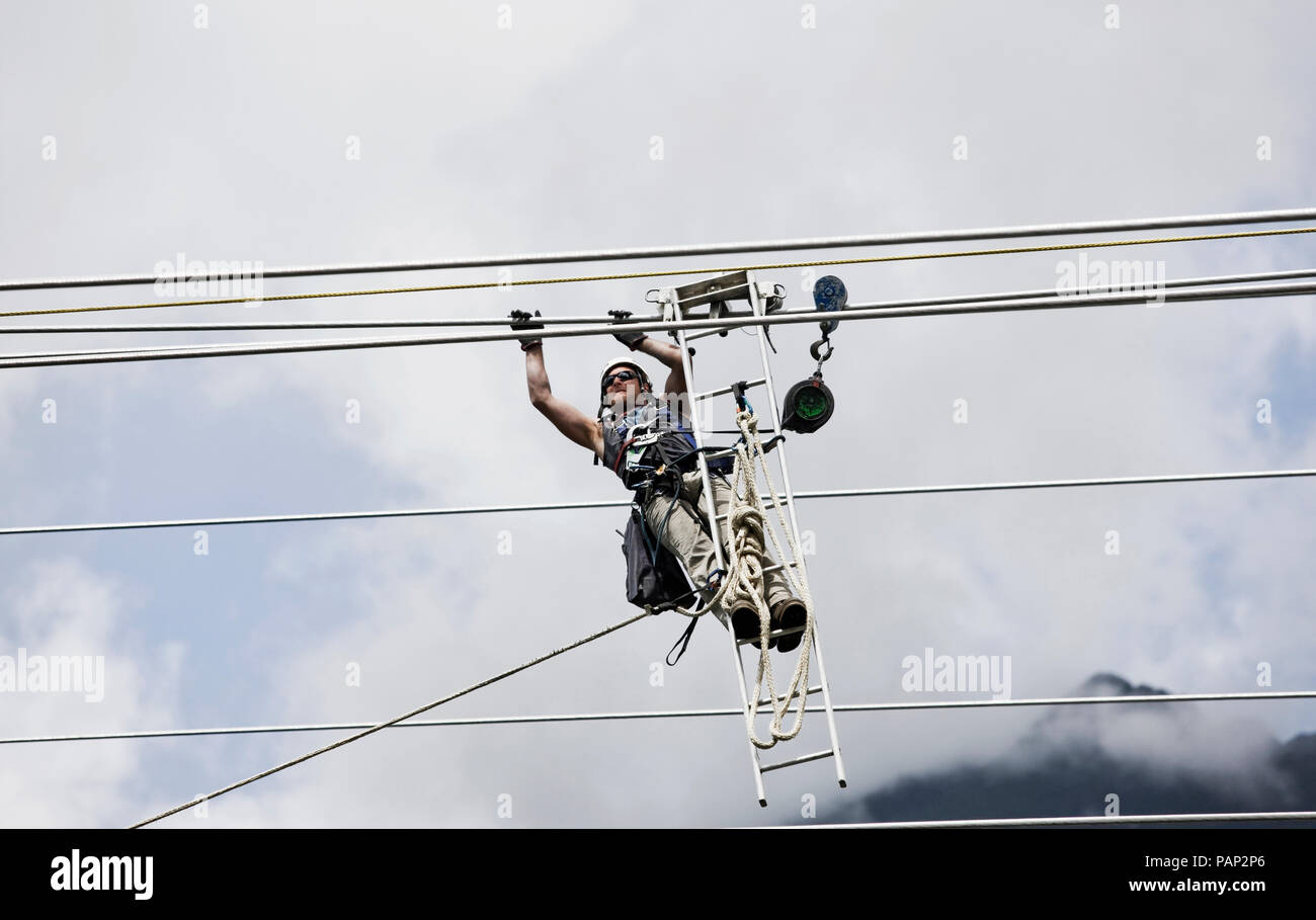 Montatore con scaletta, tirando lungo la linea elettrica ad alta tensione Foto Stock