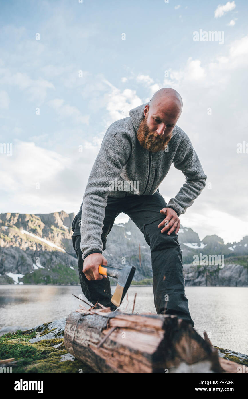 Norvegia Lofoten, Moskenesoy, giovane uomo di legno di trinciatura Foto Stock