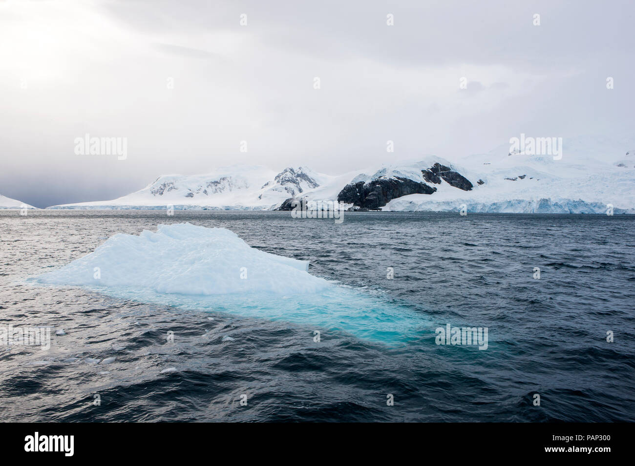 Antartico, Penisola Antartica, iceberg Foto Stock